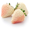 Egrow 100 Pcs / Pack Blanc Fraise Graines Jardin Intérieur Bonsa Bio Fragaria Graine de Fruit