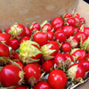 Egrow 15 Pcs / Pack Litchi Tomate Graines Fruits Légumes Bonsa pour Jardin Maison Plante