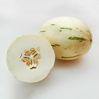 Egrow 20 Pcs / Pack Graines de melon blanc Blanc Melon Fruit Légumes pour la maison Jardin Plante