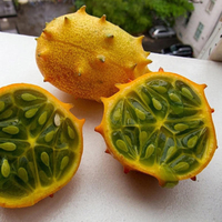 Egrow 20 Pcs / Pack Kiwano Graines de Melon Africain Concombre Graines Jardin À Effet de Serre Légumes Fruits Plantes