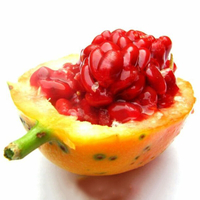 Egrow 20 Pcs / Pack Passion Graines Tropical Bonsai Fruit for Home Garden Plant