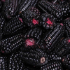 Egrow 20 Pcs / Pack Purple Corn Seeds Non-GMO Organic Corn Vegetables for Home Garden Plants