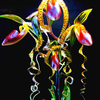Egrow 20 pcs / Sac Sementes Orchidée Graines Rare Fleur Orchidée Graines Pour La Maison Jardin Plantes