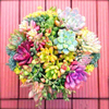 Egrow 200 Pcs / Paquet Graines Succulentes Rare Succulente Plante Fleur Bonsai Pierre Vivante Bonsa Mini Jardin Des Pla