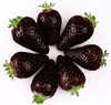 Egrow 200 PCS Graines de Fraise Noire Frais Exotique Savoureux Fruits en Pot Graine Jardin Bonsa Plante