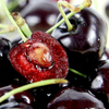 Egrow 20Pcs / Pack Graines De Cerises Rouge Rouge Balcon Fruits Biologiques Graines En Pot Bonsa Plante