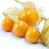 Egrow 20Pcs / pack Physalis Graines Jardin Fruits Fleur Latern Golden Berry Graines
