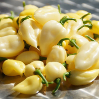 Egrow 30 Pcs / Pack Graines de Poivre Blanc Fruits Piment Reaper Légumes pour Maison Jardin Plante