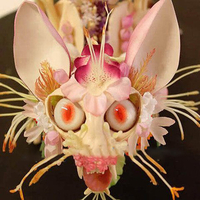 Egrow 30 Pcs / Pack Japonais singe Visage Orchidée Graines Jardin Dragon Graines De Fleurs