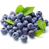 Egrow 30Pcs Graines de Myrtille Jardin Fruits Comestibles Bonsai Plantes à l