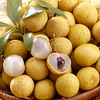 Egrow 4 pcs / Sachet Longan Graines VIVANT LOEIL DE DRAGON Exotique LONGAN Dimocarpus Doux Tropical FRUIT Arbre Gra