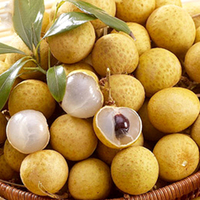Egrow 4 pcs / Sachet Longan Graines VIVANT LOEIL DE DRAGON Exotique LONGAN Dimocarpus Doux Tropical FRUIT Arbre Gra