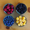 Egrow 4000 Pcs / Pack Couleur Mixte Raspberry Graines Chaque 1000 Pcs pour Bleu Noir Rouge Jaune Fruit Seed