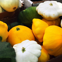 Egrow 5 Pcs / Pack Blanc Citrouille Graines Pétoncles Pan Squash Bonsai Légumes pour La Maison Jardin Plante