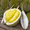 Egrow 5 Pcs / Sac Durian Arbre Graines Délicieux Roi De Graines De Fruits Haute-nutrition Géant En Plein Air Plantes Rar