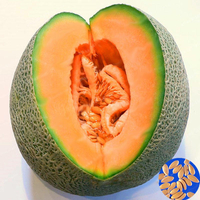 Egrow 50 Pcs / Pack Cantaloup Graines Miel Jaune Chair Doux Melon Fruits Semences Été Muskémol Plantes