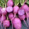 Egrow 50 Pcs / Pack Graines De Carotte Globe Forme Betteraves Betteraves Pour Plante De Jardin