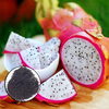 Egrow 50 Pcs / Pack graines de Pitaya rouge blanc Dragon graines darbres fruitiers pour les plantes en plein air Co