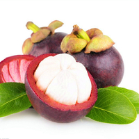 Egrow 50 Pcs / Pack Mangoustan Graines Tropical Aigre Doux Fruits Graines Jardin Plantes Arbre Bonsa 