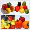 Egrow 50 Pcs / Sac Mixte Rouge Jaune Vert Poivre Graines Colorful Graines De Poivrons Doux Jaune Violet Rouge Vert Blanc