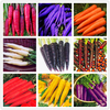 Egrow 500 Pcs / Pack Colorful Graines de Carotte Rouge Blanc Purple Origanic Semences de Plantes Végétales Saines