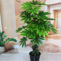 Egrow 50Pcs / Pack Graines Fatsia Plante Ornementale Fatsia Japonica Bonsai lant Arbuste Arbre Ba Jiao Jin Pan