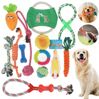 Ensemble de jouets en corde pour chien 13/17 Pack jouets à mâcher pour chien pour les dents de chien meulage balle de ne