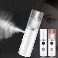 Face Stream Beauty Spray Machine à eau à main hydratante Nano Brume ionique Humidificateur pour le visage Sauna Facial P