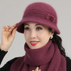 Femmes 2 pièces cheveux de lapin Plus velours épaissir chaud mode cou Protection tricoté chapeau seau chapeau écharpe