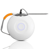 Fumée sans fil de sonde de barbecue de Bluetooth de thermomètre de viande de cuisine de Digital pour la cuisine