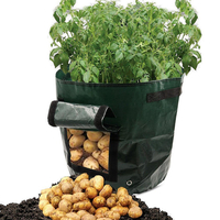 Graden 50L grande capacité pomme de terre culture planteur légumes sacs Taro poche de tomate sucrée avec fenêtre