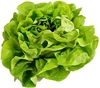 Graines de laitue à la crème Graines de légumes Salade de colza Graines de plantes à fleurs de laitue pour le jardin à l