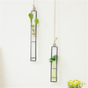 Grand vase en verre corde de chanvre pendentif salon Tenture murale conteneurs de plantes vertes