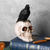Halloween décor à la maison corbeau crâne Statues Sculptures résine artisanat décoratif corbeau squelette pour Halloween