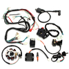 Harnais de câblage électrique complet pour vélo de saleté chinois ATV QUAD 150-250 300CC