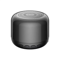 Haut-parleur Bluetooth 5.1 sans fil 600 mAh Batterie HiFi Stéréo Surround Multiple RVB Lumière Type-C Boîte de son avec