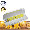 Haute puissance 30W 50W 80W COB LED Lumière dinondation Lampe Iodine-tungstène imperméable à leau pour AC220V