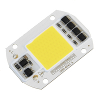 Haute puissance 50W blanc / blanc chaud LED COB Light Puce pour projecteur dinondation BRICOLAGE AC220V