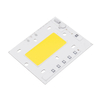 Haute puissance 50W LED Source de lumière de la puce anti-tonnerre AC220V pour Projecteur bricolage Spotlight
