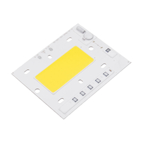 Haute puissance 50W LED Source de lumière de la puce anti-tonnerre AC220V pour Projecteur bricolage Spotlight