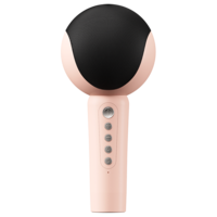 Havit Microphone sans fil haut-parleur quatre types de voix HIFI stéréo karaoké micro TF carte lecteur de chant