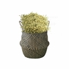 Herbe de mer Ventre Panier Rangement Plante Pot Pliable Blanchisserie Chambre de Bébé Décor