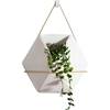 Hexagone Mur Clôture Art Suspendu Plante Verte Pot De Fleurs En Céramique Planteur Titulaire