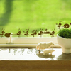 Honana DX-013 Autocollants muraux décoratifs en mouvement,  fourmis,  noir,  brun,  vert