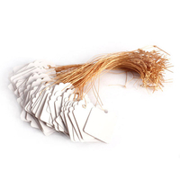 Honana HG-GT11 100Pcs Waterproof Strip Line Étiquettes de jardinage Signes Plant Hanging Tags Panneaux de pépinière