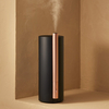 Humidificateur EDON S108E 39 ° Brume chaude constante UV Stérilisation 4.5L 350 ml / h Télécommande à faible bruit de