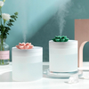 Humidificateur portable USB,  capacité de 800 ml,  30 ml / h,  double protection contre la mise hors tension du mode de pul