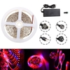 Imperméable à leau 5M Rouge: Bleu 5: 1 SMD5050 Full Spectrum LED Bande Éclairage Plante Lumière + Alimentation DC12