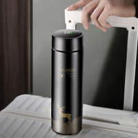 IPRee® 500ML Tasse disolation intelligente Affichage de la température Isolation en acier inoxydable Bouteille sous