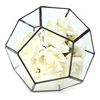 Irrégulier Verre Géométrique Terrarium Boîte Pot De Fleur DIY Table De Plante Plante Succulente Planteur